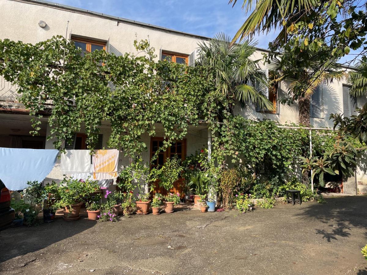 Guesthouse Georgia Sagarejo Luaran gambar